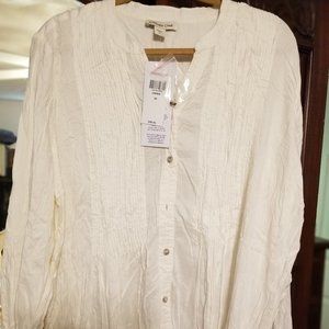 Coldwater Creek 2X Cream Pin-tucked Blouse